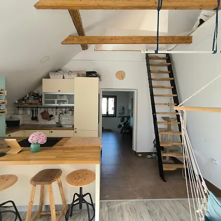 Glasbeni Atelje Tri Pticice Alloggio in famiglia