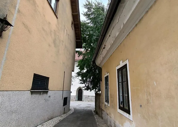 Glasbeni Atelje Tri Pticice