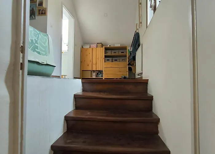 Δωμάτια σε οικογενειακή κατοικία Glasbeni Atelje Tri Pticice *